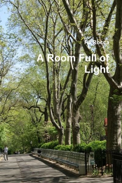 Cover for Fj Rocca · A Room Full of Light (Taschenbuch) (2015)