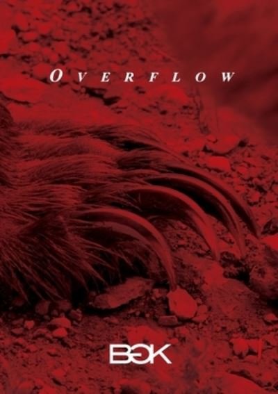Cover for Bgk · Overflow (Buch) (2017)