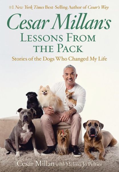 Cesar Millan's Lessons From the Pack : Stories of the Dogs Who Changed My Life - Cesar Millan - Books - National Geographic - 9781426218828 - February 6, 2018