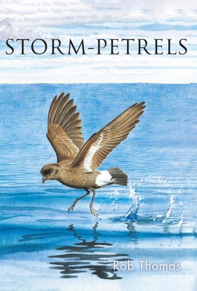 Cover for Rob Thomas · The Storm-petrels (Paperback Book) (2024)