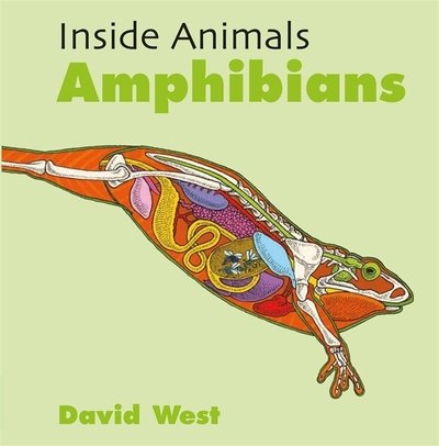 Cover for David West · Inside Animals: Amphibians - Inside Animals (Paperback Book) (2021)