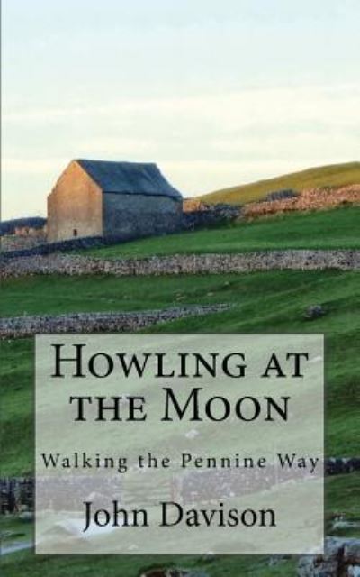 Cover for John Davison · Howling at the Moon (Paperback Book) (2017)
