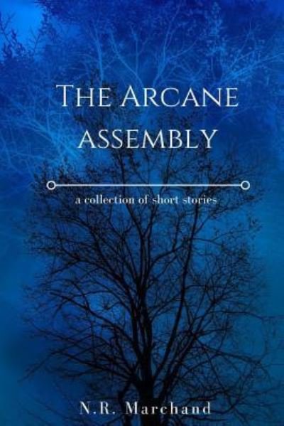 Cover for N R Marchand · The Arcane Assembly (Paperback Bog) (2017)
