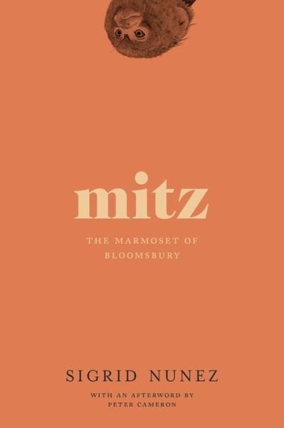 Cover for Sigrid Nunez · Mitz: The Marmoset of Bloomsbury (Taschenbuch) (2019)
