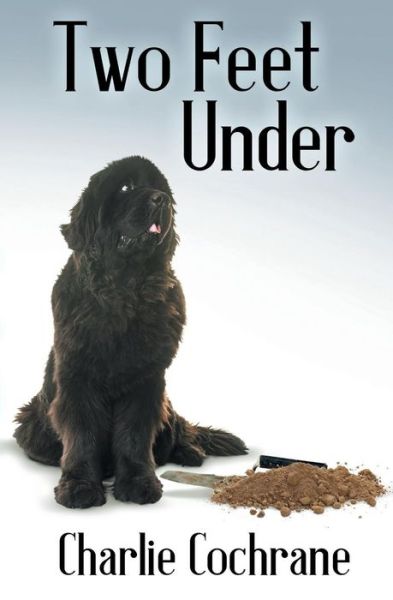 Two Feet Under - Charlie Cochrane - Books - Riptide Publishing - 9781626496828 - 2018