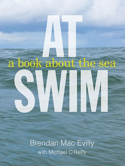 Brendan Mac Evilly · At Swim (Taschenbuch) (2016)