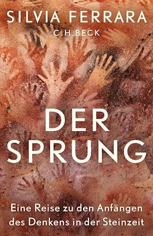 Cover for Silvia Ferrara · Der Sprung (Book) (2023)