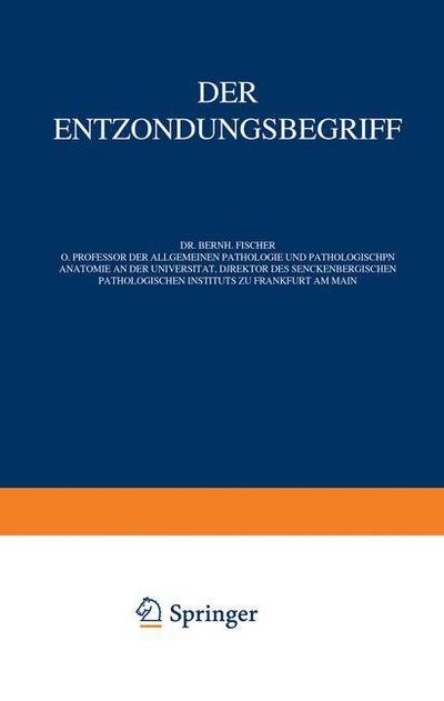 Der Entzundungsbegriff - Na Fischer-Wasels - Books - Springer-Verlag Berlin and Heidelberg Gm - 9783642896828 - 1924