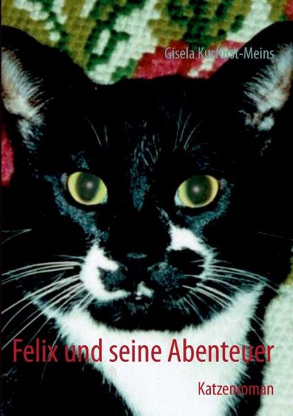 Felix Und Seine Abenteuer - Gisela Kurfurst-meins - Books - Books On Demand - 9783732241828 - October 22, 2013