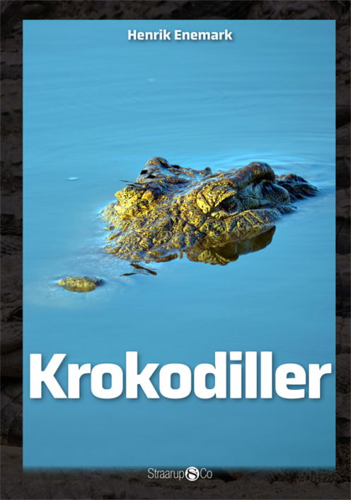 Maxi: Krokodiller - Henrik Enemark - Bøger - Straarup & Co - 9788770189828 - 7. december 2020