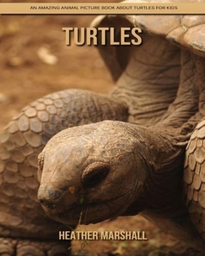 Cover for Heather Marshall · Turtles: An Amazing Animal Picture Book about Turtles for Kids (Paperback Book) (2021)