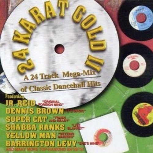 Cover for Various Artists · 24 Track Mega Mix Classic (CD)