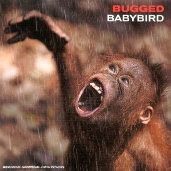 Cover for Babybird · Bugged (CD) (2013)