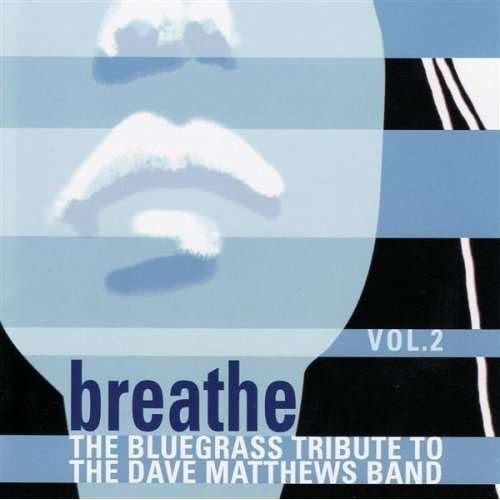 Cover for Dave Matthews Band · Vol. 2-dave Matthews Band: Breathe (CD) (2003)