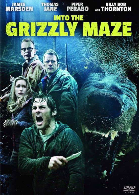 Cover for Into the Grizzly Maze (DVD) (2015)