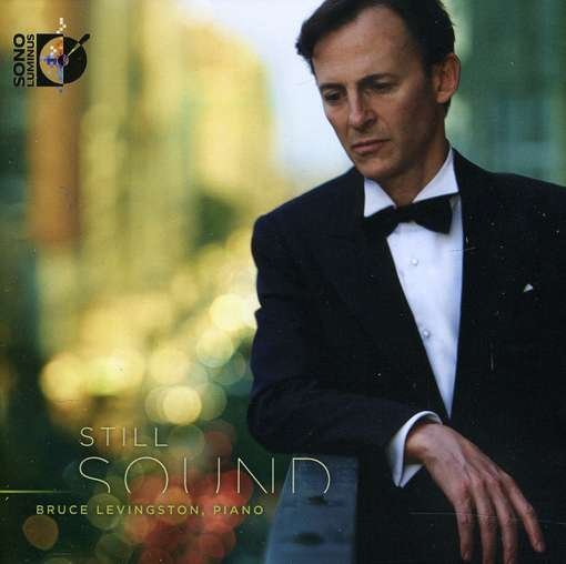 Still Sound - Part / Satie / Gross / Schubert / Levingston - Musikk - DOR - 0053479214829 - 28. februar 2012