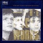 Cover for Icicle Works · If You Want to Defeat Your Enemy Sing His Song (CD) (2020)