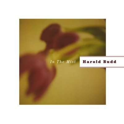 Cover for Harold Budd · In The Mist (CD) (2011)