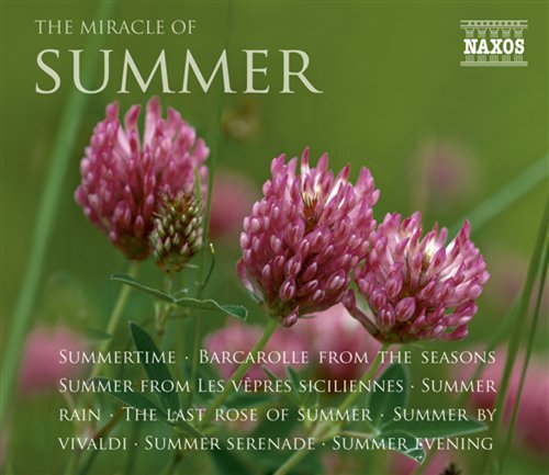 Cover for Miracle Of Summer (CD) (2022)