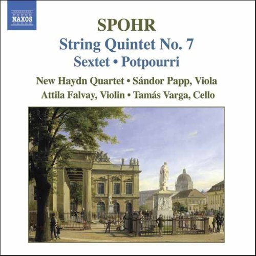 Complete Quintets Vol.4 - L. Spohr - Musik - NAXOS - 0747313596829 - February 6, 2006