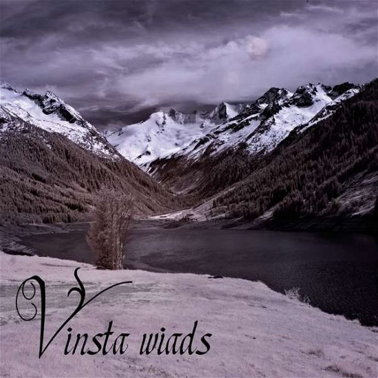 Wiads - Vinsta - Music - TROLL MUSIC - 0884388150829 - August 25, 2017
