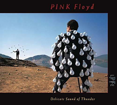 Delicate Sound of Thunder - Pink Floyd - Musik - ROCK - 0888751709829 - 24 juni 2016