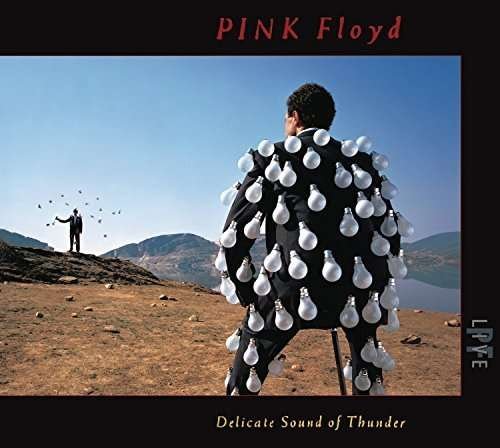 Delicate Sound of Thunder - Pink Floyd - Musiikki - ROCK - 0888751709829 - perjantai 24. kesäkuuta 2016