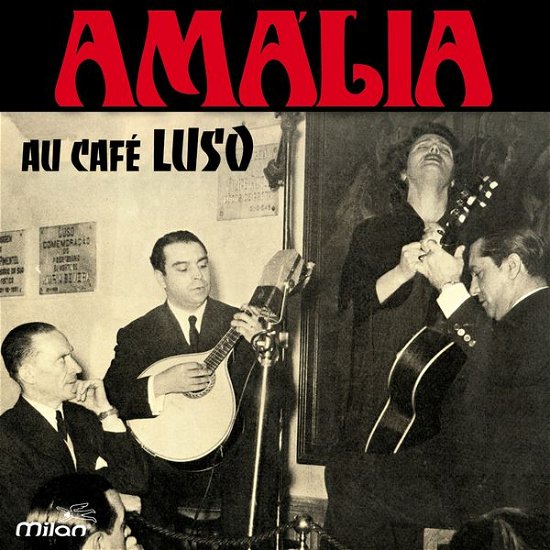 Cover for Amalia Rodrigues · Au Cafe Luso (CD) (2015)