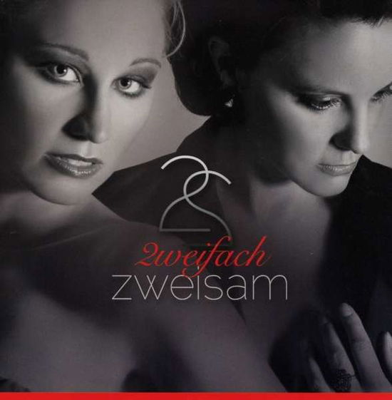 Cover for Zweifach · Zweisam (CD) (2012)