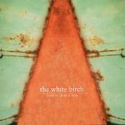 Cover for White Birch · Star is Just the Sun (CD) (2008)