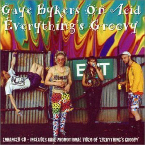 Cover for Gaye Bykers on Acid · Everything Groovy (CD) (2001)