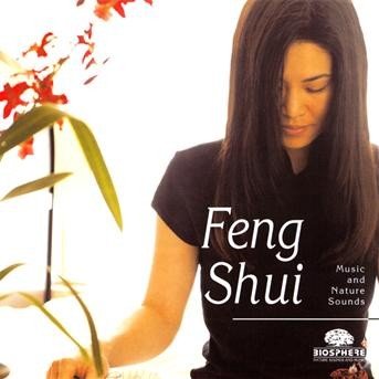 Cover for Divers · Feng Shui (CD) (2010)