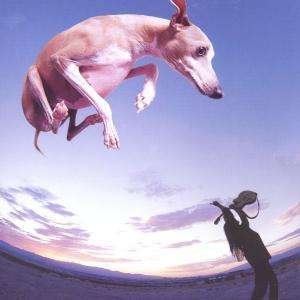 Flyng Dog - Paul Gilbert - Musikk - SHRAPNEL - 8712725113829 - 10. februar 2000