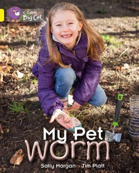 My Pet Worm: Band 03/Yellow - Collins Big Cat - Sally Morgan - Books - HarperCollins Publishers - 9780007512829 - September 2, 2013