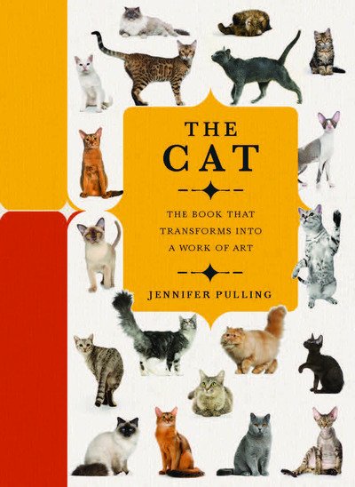 Cover for Jennifer Pulling · Paperscapes: The Cat (Hardcover bog) (2019)