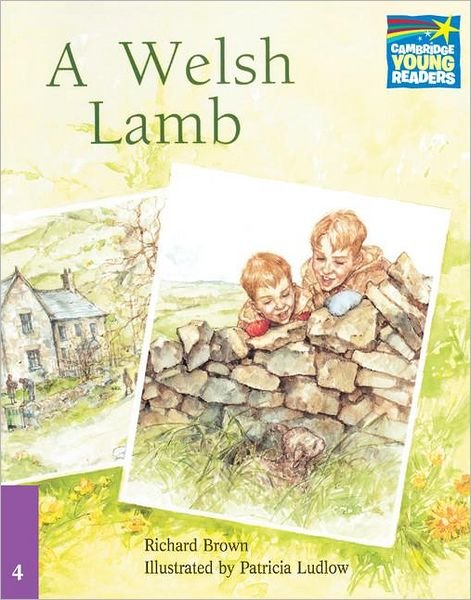 Cover for Richard Brown · A Welsh Lamb Elt Edition (Paperback Book) (2005)