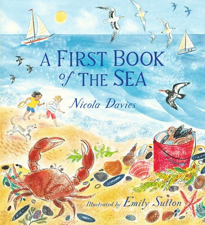Cover for Nicola Davies · A first book of the sea (Book) [First United States edition. Reinforced trade edition. edition] (2018)