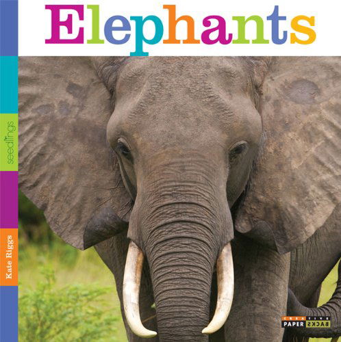 Cover for Kate Riggs · Seedlings: Elephants (Paperback Book) (2013)