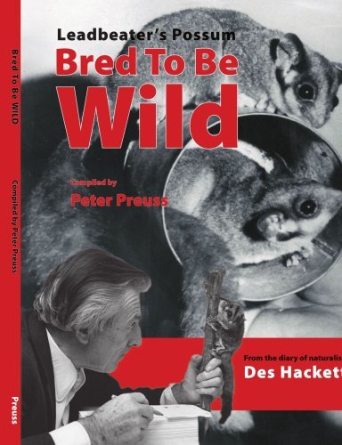 Cover for Des Hackett · Leadbetter's Possum: Bred to Be Wild (Pocketbok) (2007)