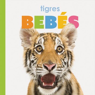 Tigres Beb&#65533; s - Kate Riggs - Books - Creative Company, The - 9781640262829 - January 15, 2020