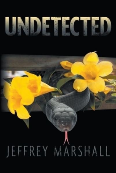 Cover for Jeffrey Marshall · Undetected (Paperback Book) (2020)
