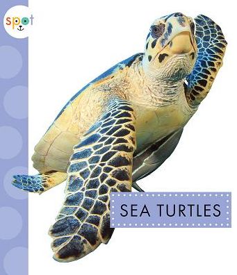 Cover for Mari C Schuh · Sea Turtles (Hardcover Book) (2018)