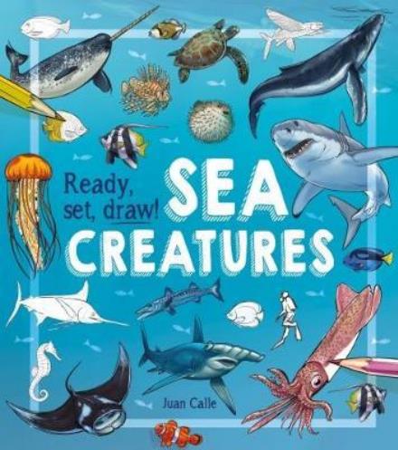 Cover for Calle, Juan (Artist) · Ready, Set, Draw! Sea Creatures (Paperback Book) (2018)