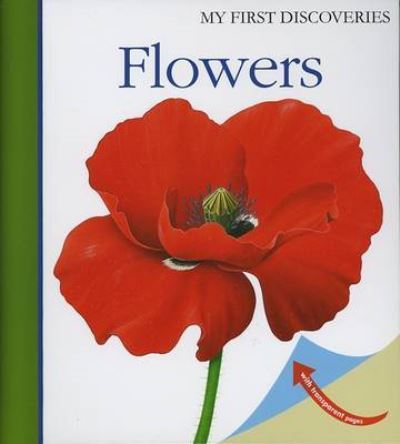 Cover for Rene Mettler · Flowers - My First Discoveries (Hardcover Book) (2009)