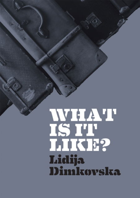 Cover for Lidija Dimkovska · What Is It Like? (Paperback Book) (2022)