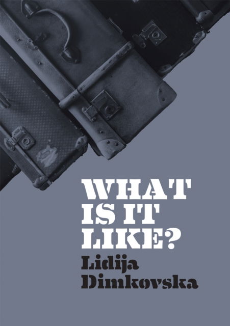 What Is It Like? - Lidija Dimkovska - Books - Wrecking Ball Press - 9781903110829 - October 24, 2022