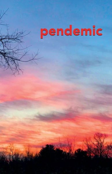 Cover for Jon Miller · Pendemic (Paperback Book) (2021)