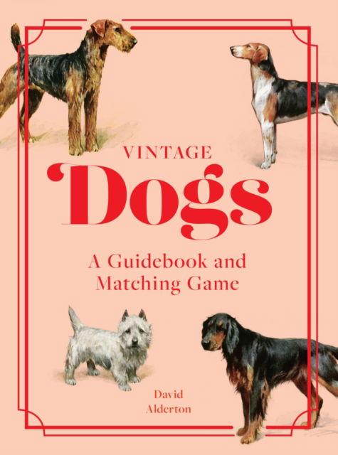 Cover for David Alderton · Vintage Dogs: A Guidebook and Matching Game (N/A) (2025)