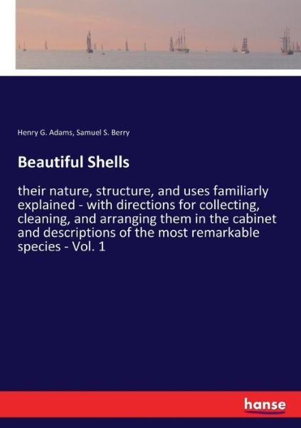 Cover for Adams · Beautiful Shells (Book) (2017)