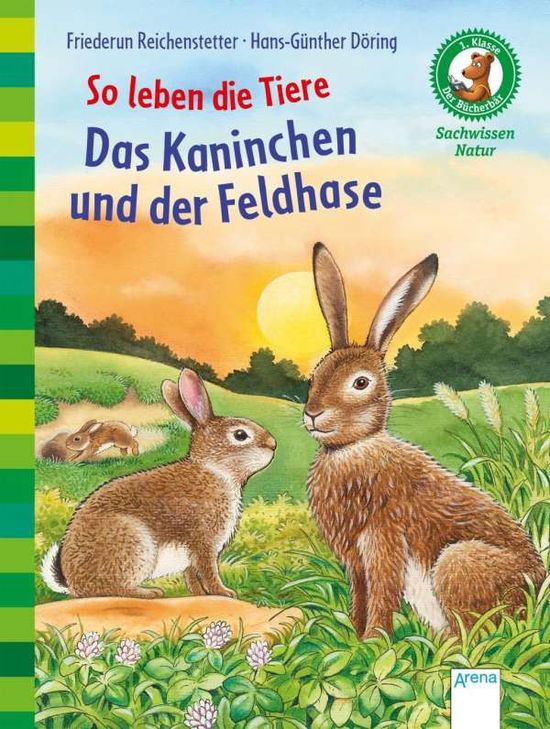 Cover for Reichenstetter · So leben d.Tiere.Kaninch (Book)